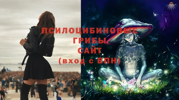 каннабис Кукмор