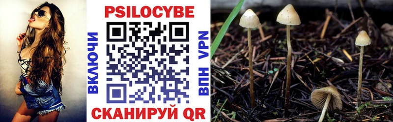 как найти закладки  OMG зеркало  Галлюциногенные грибы Magic Shrooms  Бердск 